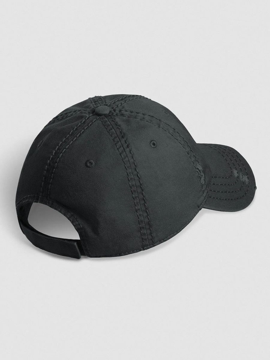 Pine Plains Distressed hat product image (3)