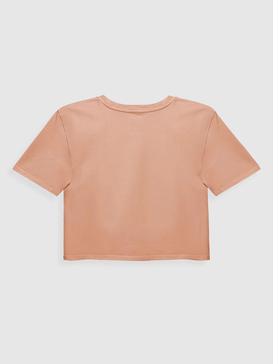HOPELESS ROMANTIC Crop Top product image (46)