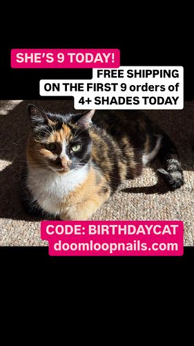 Our youngest cat turns 9 today! To celebrate, use code BIRTHDAYCAT and the first 9 orders today of 4+ shades get FREE SHIPPIN...