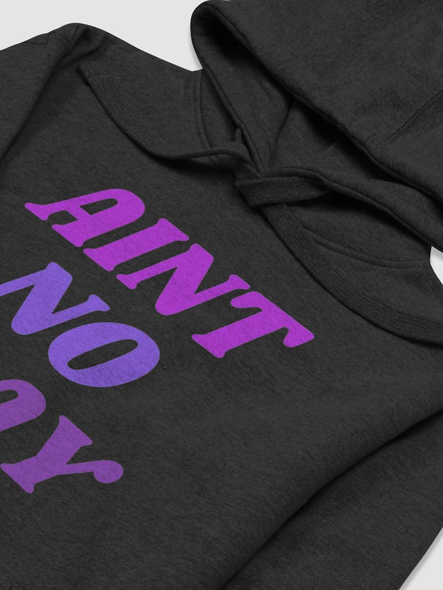 Aint no way hoodie product image (11)