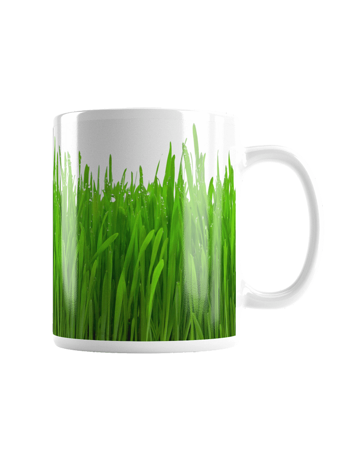 TOUCH GRASS MUG product image (5)