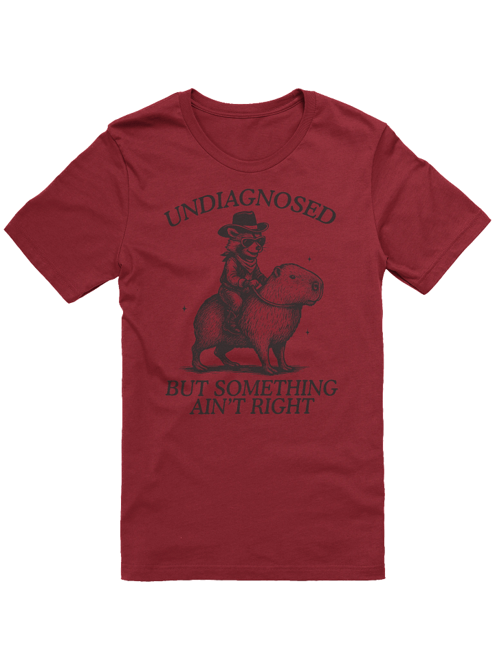 Raccoon Capybara T-Shirt product image (2)