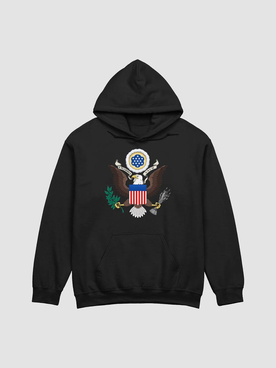 United States Hoodie product image (3)