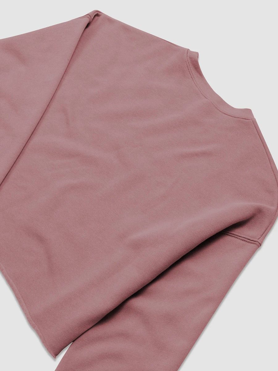 Rupees Crop Sweatshirt product image (8)