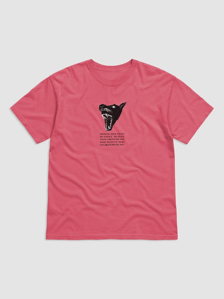 Show Em shirt 1 product image (1)