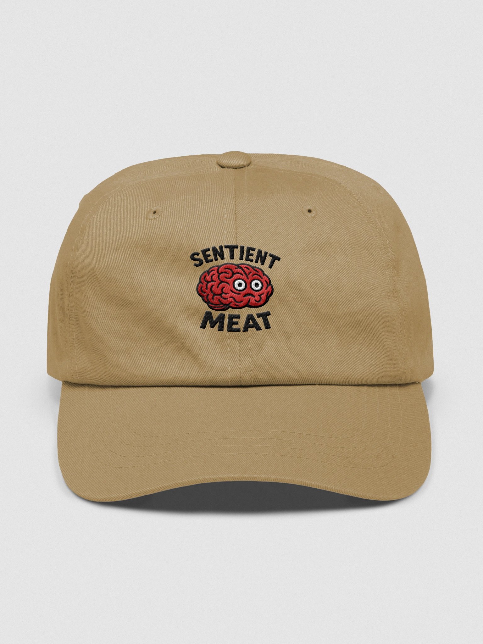 Sentient Meat - Hat product image (1)