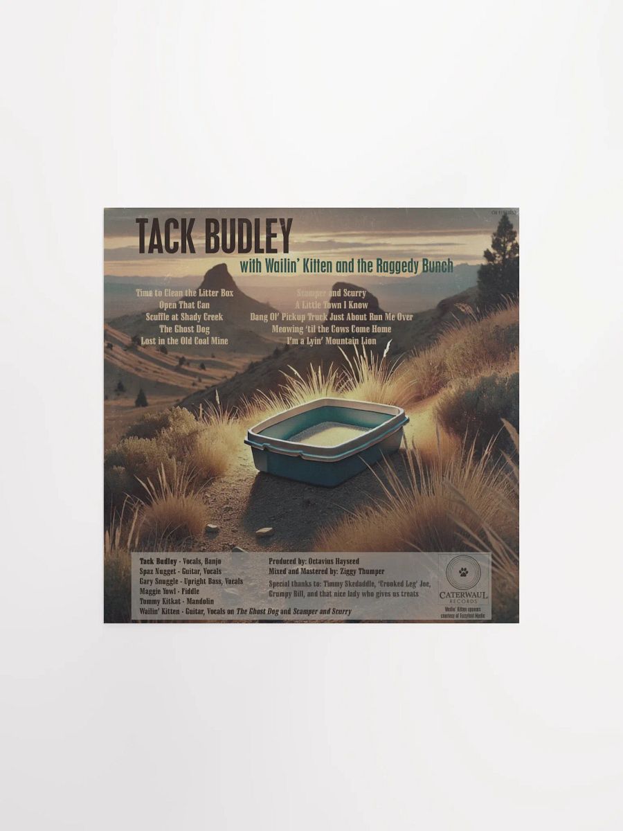 Tack Budley poster - Album jacket (back) - 12