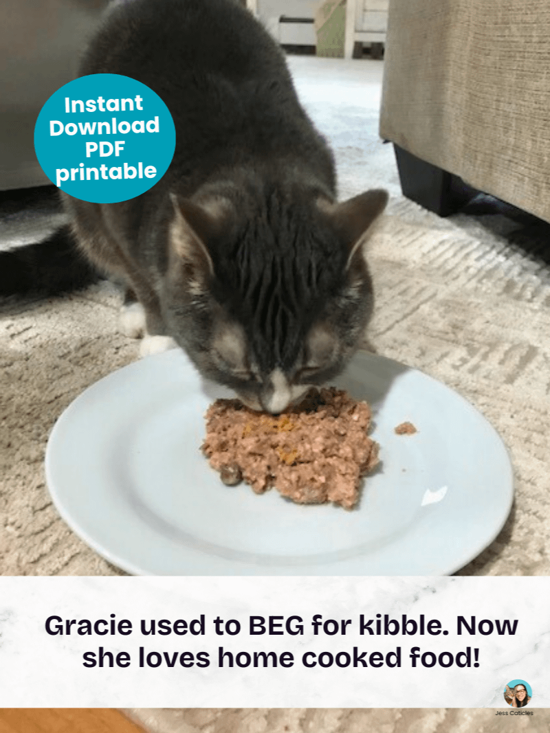 Cooked beef cat food recipe ~ 1 recipe for adult cats product image (7)