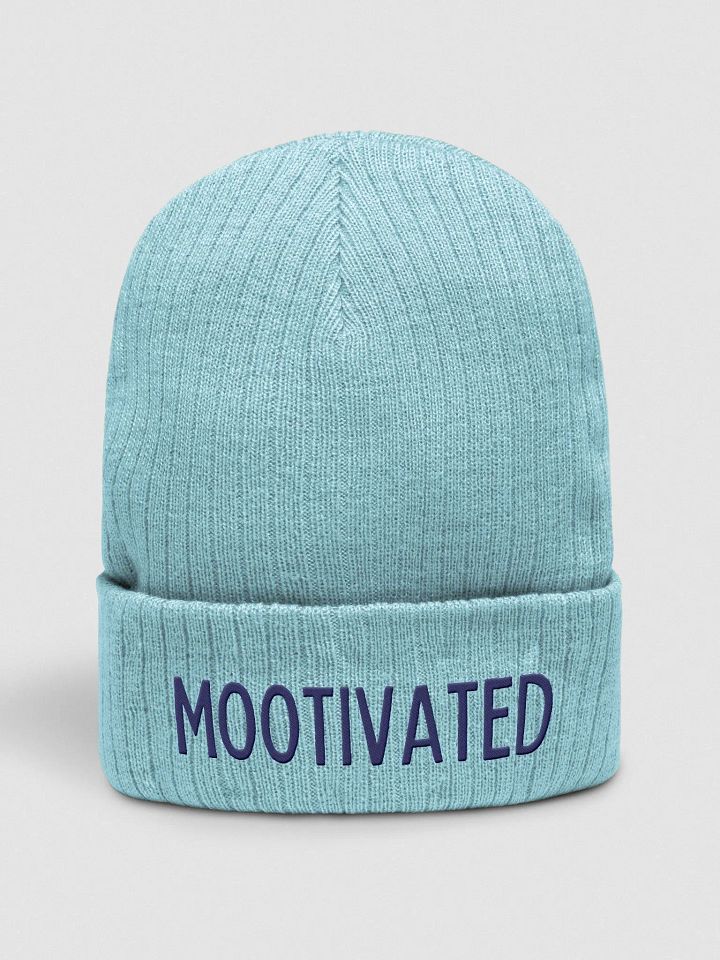 Mootivated Beanie product image (1)