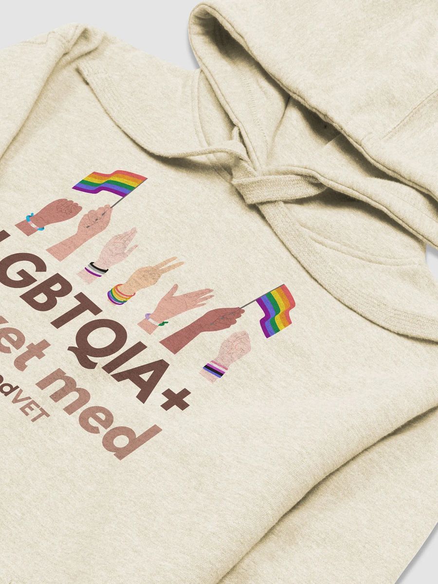 LGBTQIA+ in Vet Med Hoodie product image (3)