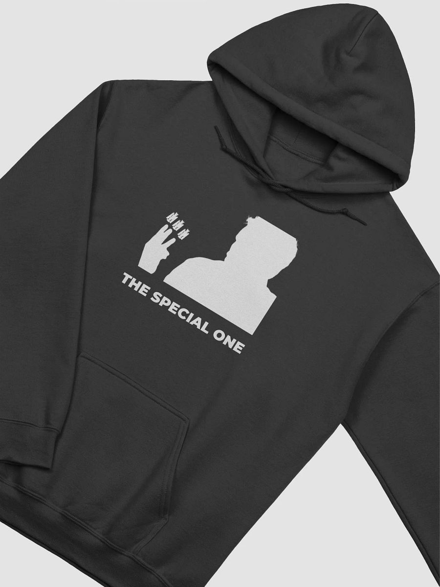 Special One Hoodie product image (30)