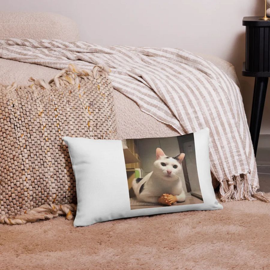 Pawsitively Human Pillow Case product image (16)