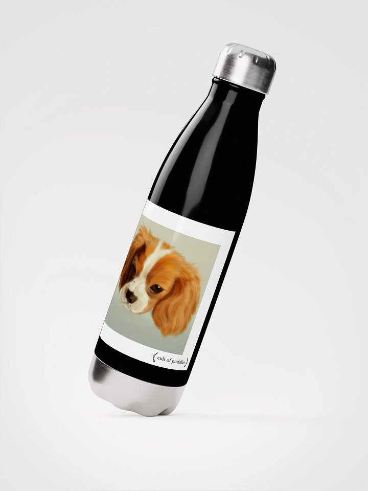 Stainless Steel Cult of Puddles Waterbottle product image (2)