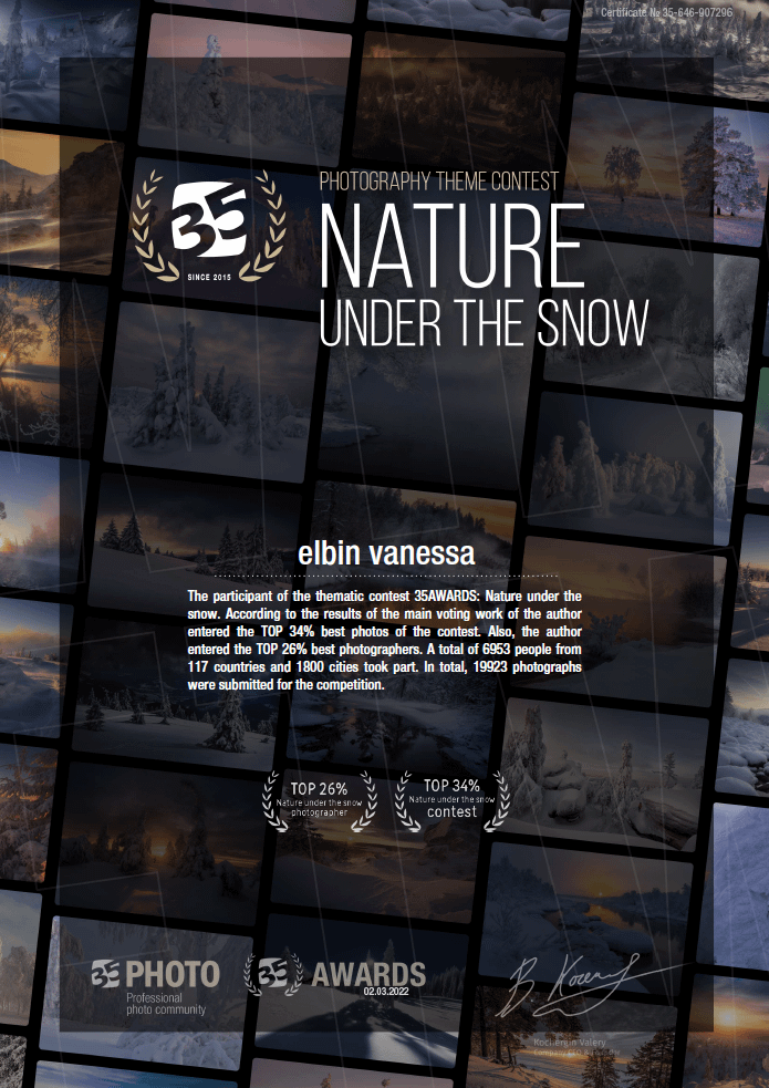Fine Art - Winter Flow - Cascade de Vegay - Limited Edition product image (3)