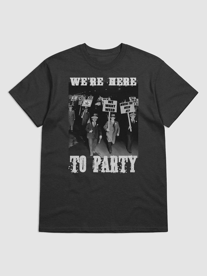 WE'RE HERE TO PARTY product image (2)
