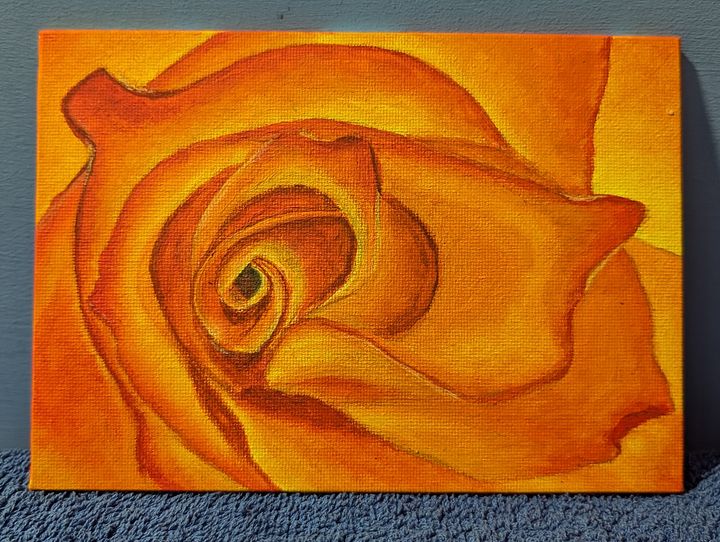 Orange Rose product image (1)
