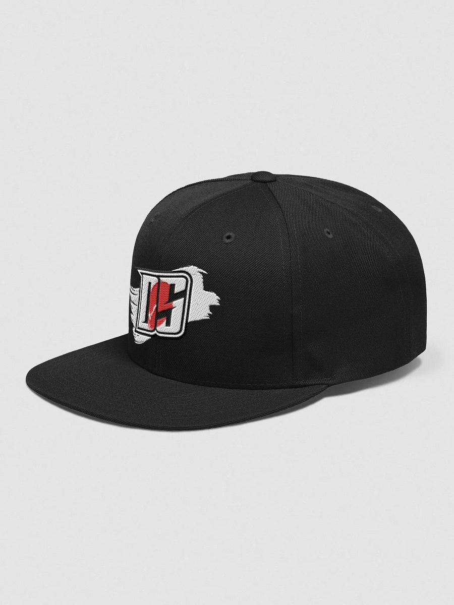 JAPAN DS Snapbacks! product image (3)