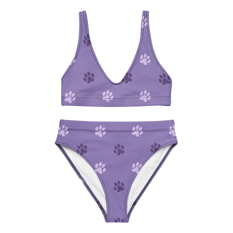 Paw Print High-Waisted Bikini product image (7)