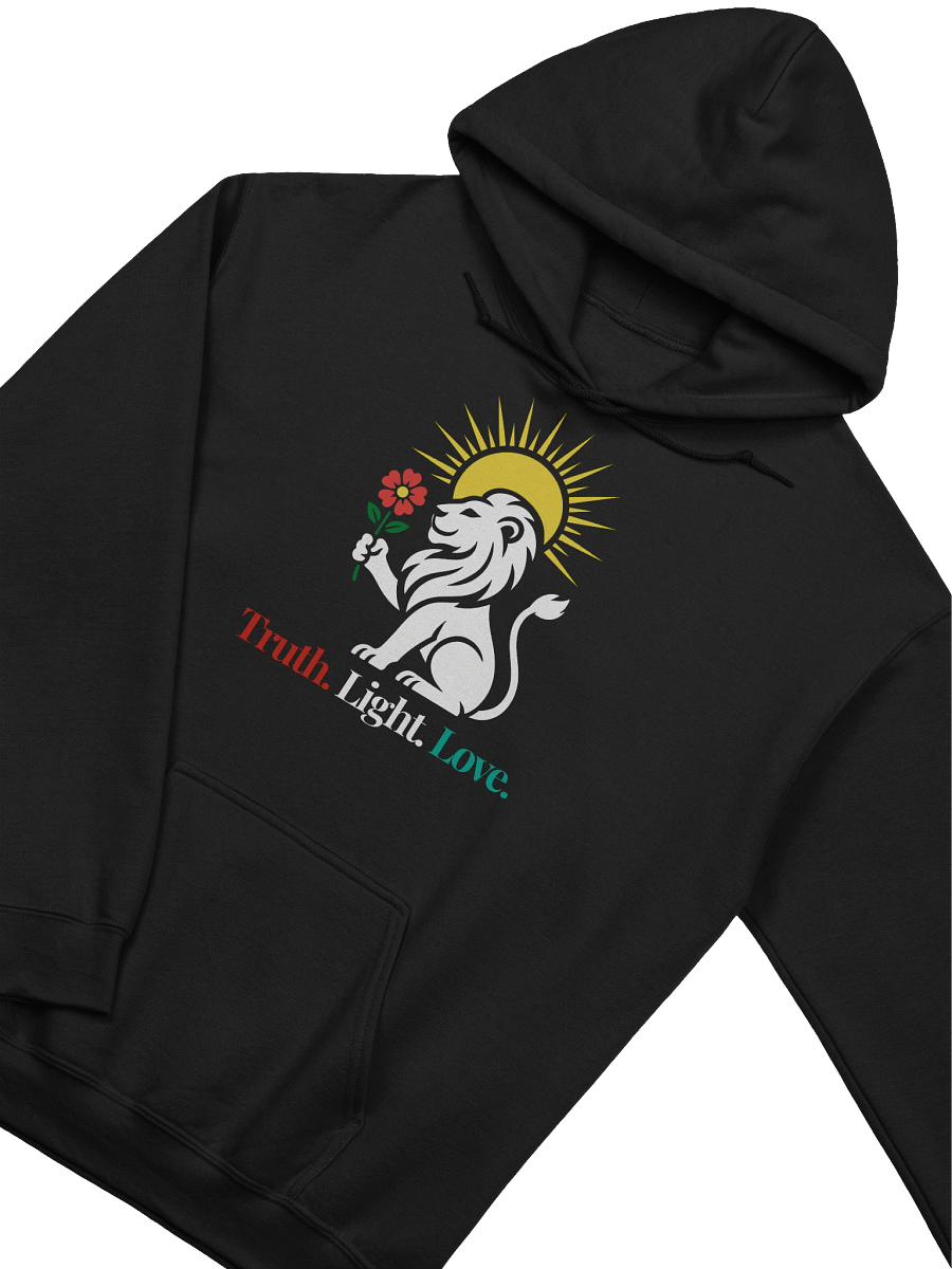 Truth Light Love - Hoodie (Style 1) product image (23)