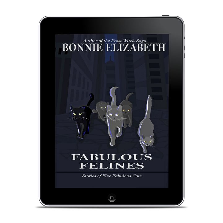 Fabulous Felines product image (1)