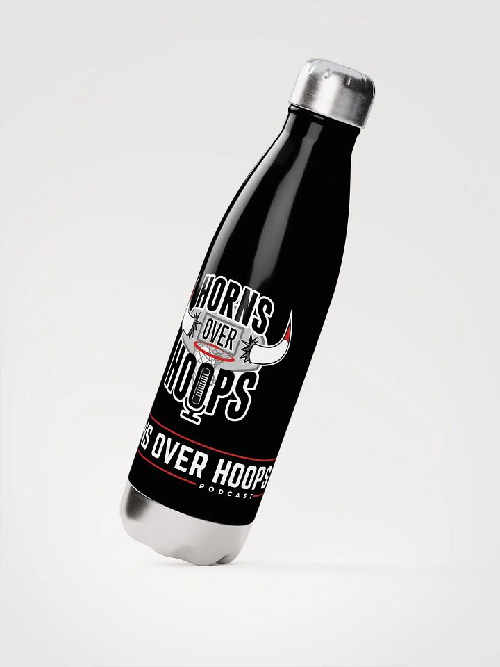 Stainless Steel Bottle product image (2)
