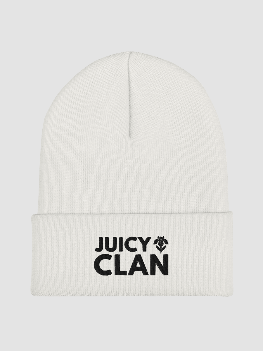 Embroidered Cuffed Beanie - JUICY CLAN product image (2)