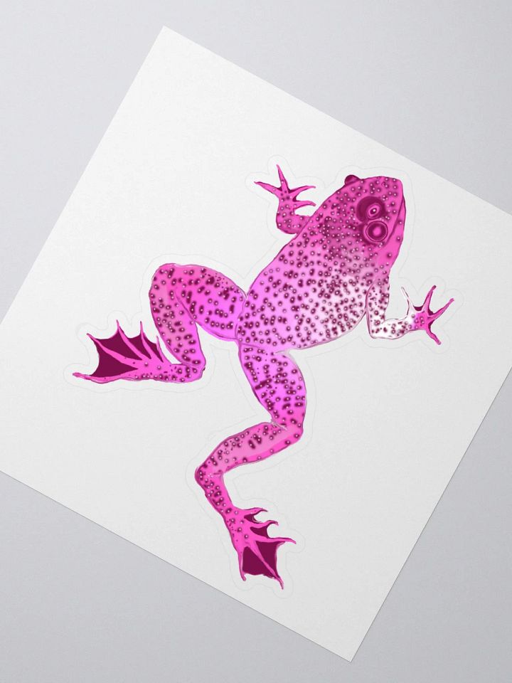 Pink Frog Sticker product image (2)