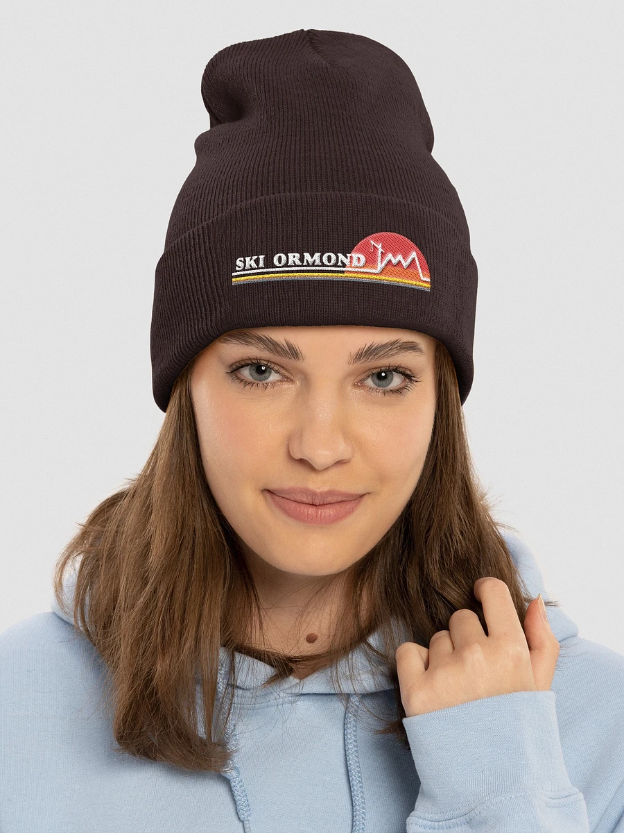 Ski Ormond Beanie product image (17)