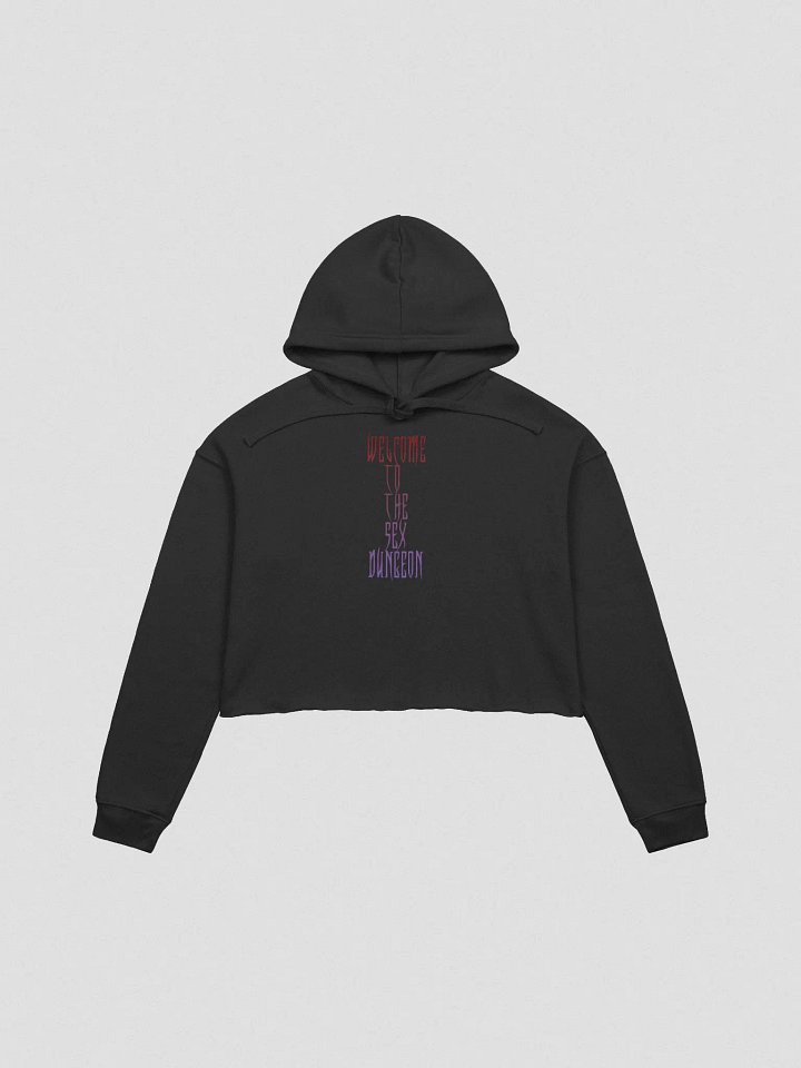Dungeon Crop Hoodie product image (1)