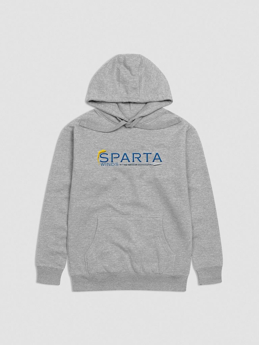 SW Embroidered Hoodie product image (2)