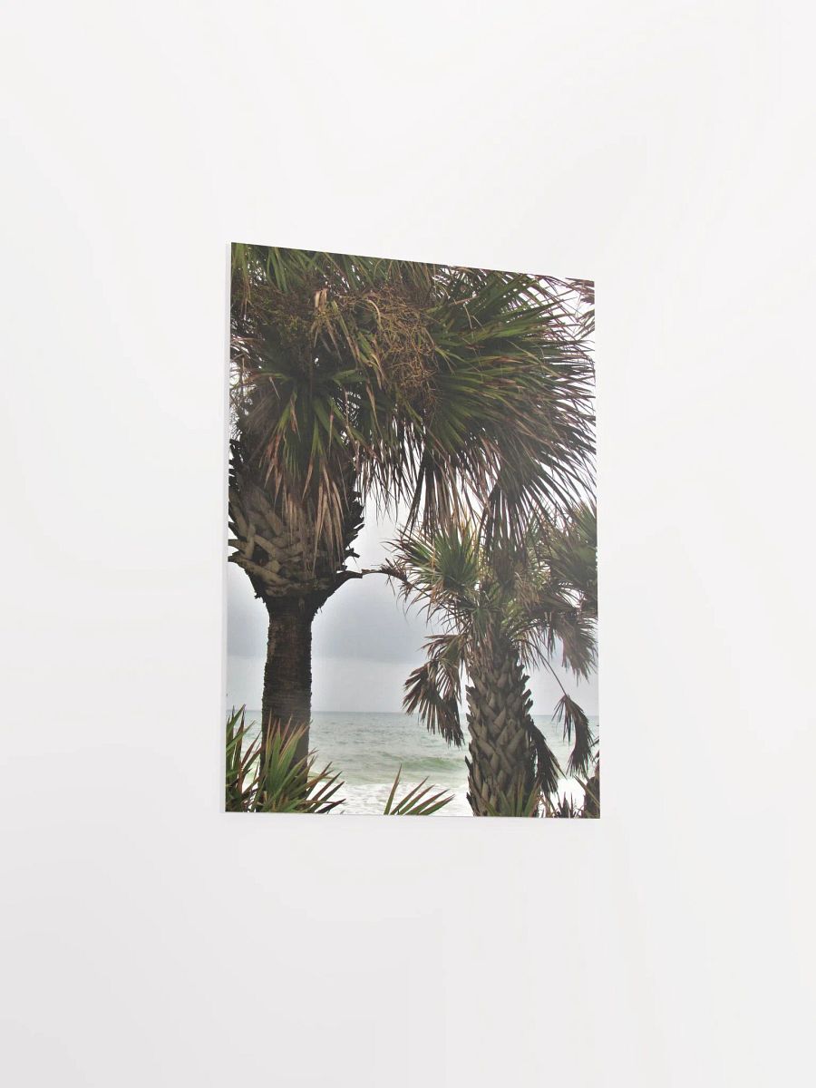 Ormond Beach 3 product image (22)
