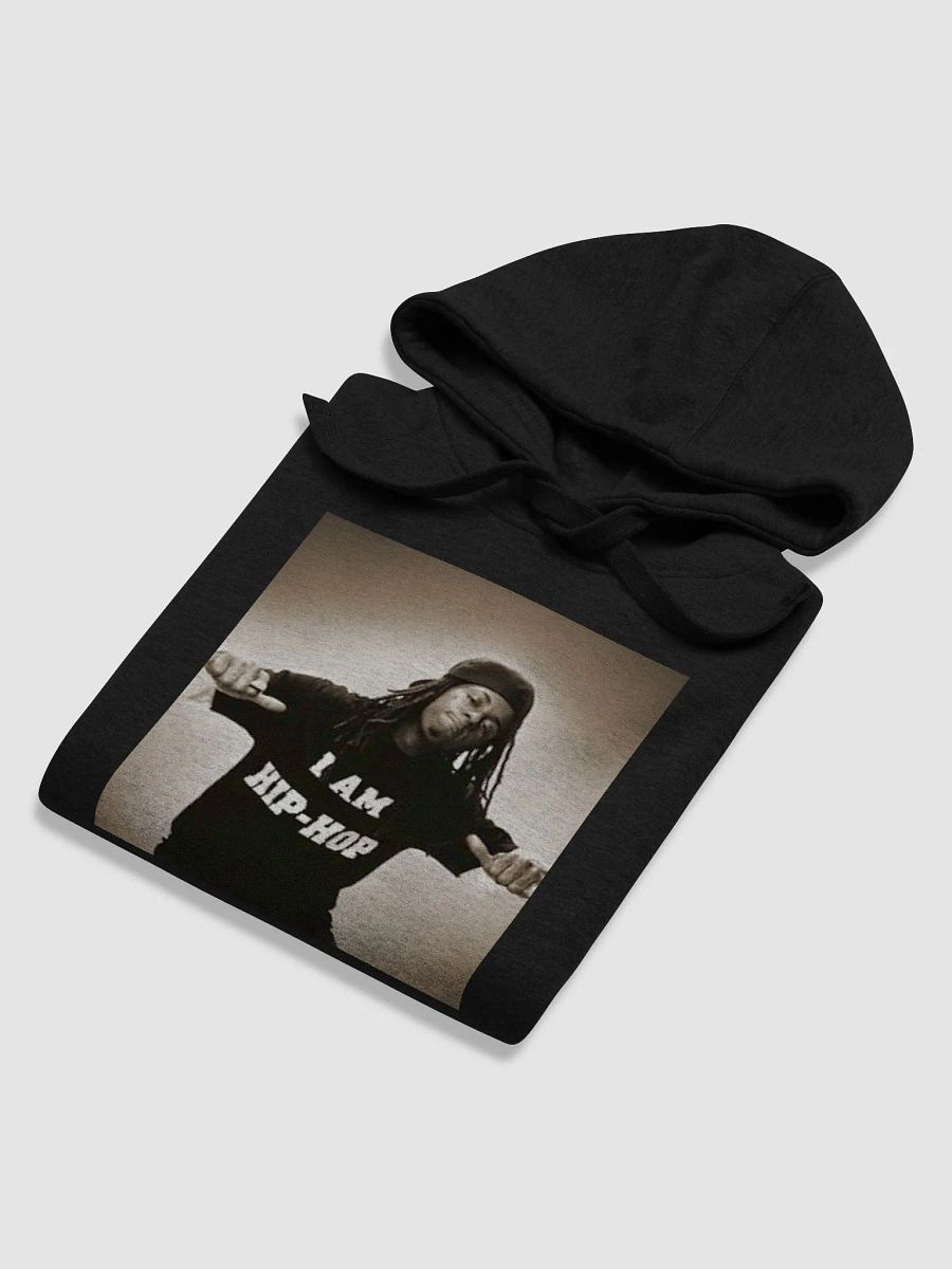 WEEZY F. BABY(I AM HIP HOP) product image (6)