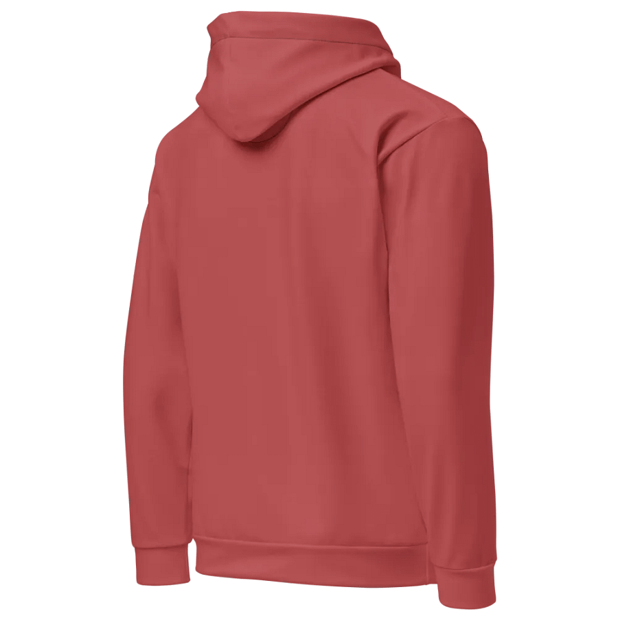 Plain Brick Red Soft Summer Unisex Recycled Polyester Heavyweight Premium Hoodie by Treasure Pie product image (4)