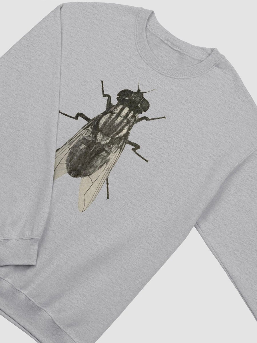 CULT FLY product image (3)