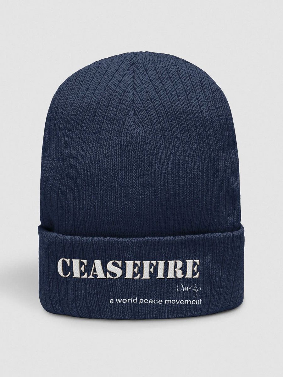 Ceasefire By Omega | Ribbed Knit Beanie product image (3)