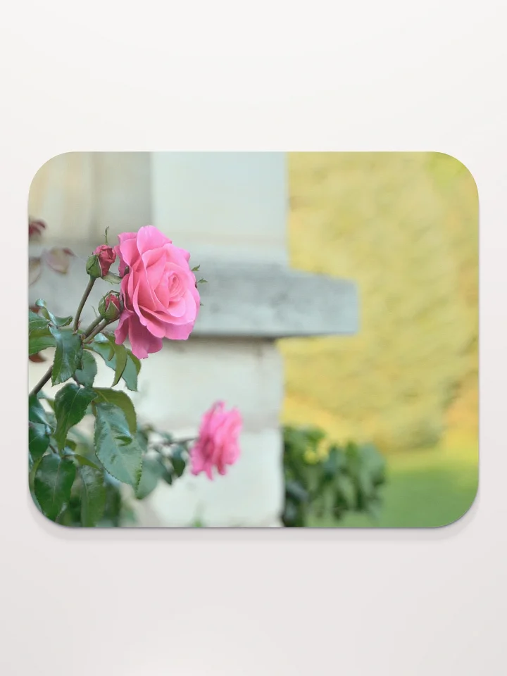Mauspad - Rosen im Schlossgarten product image (2)