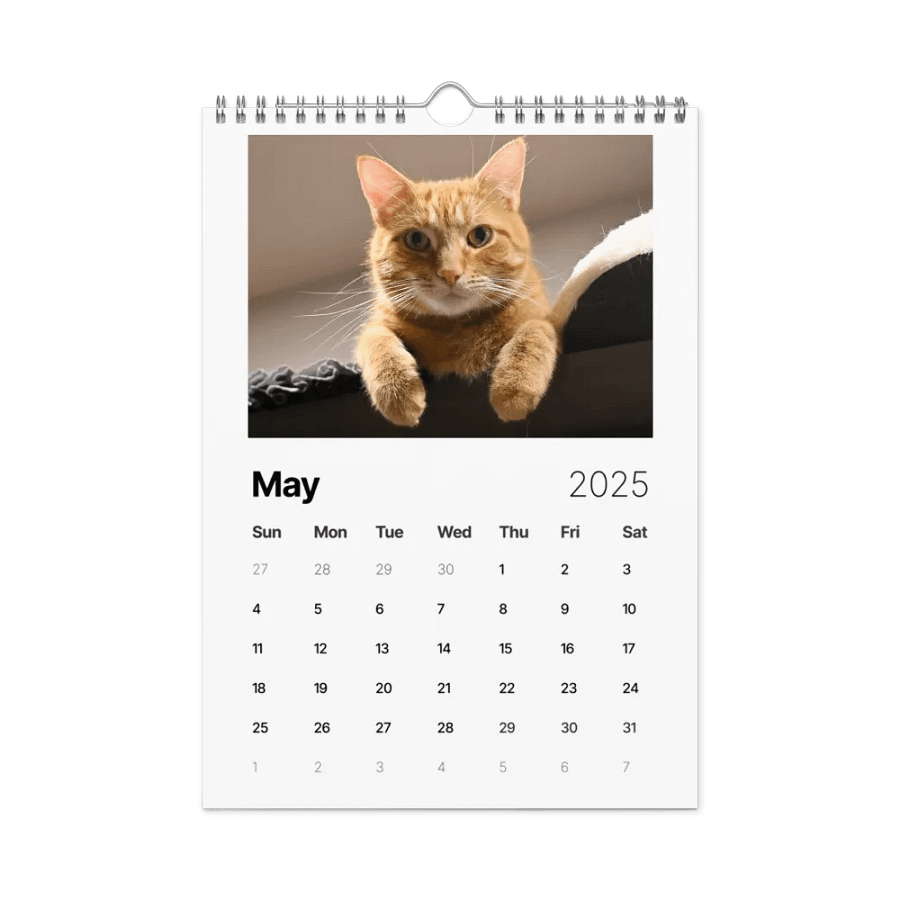 Noah and Friends 2025 Calendar product image (10)
