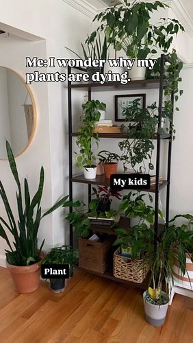 They’re just sharing the love 🥰

#houseplantcommunity #houseplantsofinstagram #plantsofinstagram #plantmemes #houseplantmemes
