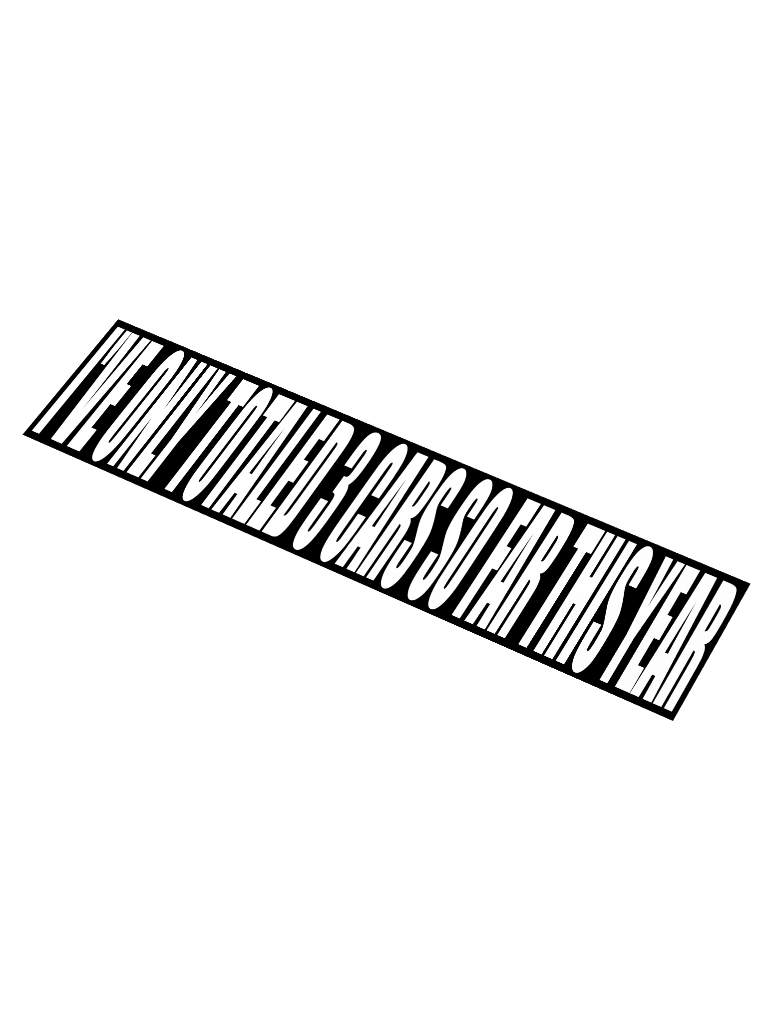 bumper sticker product image (3)