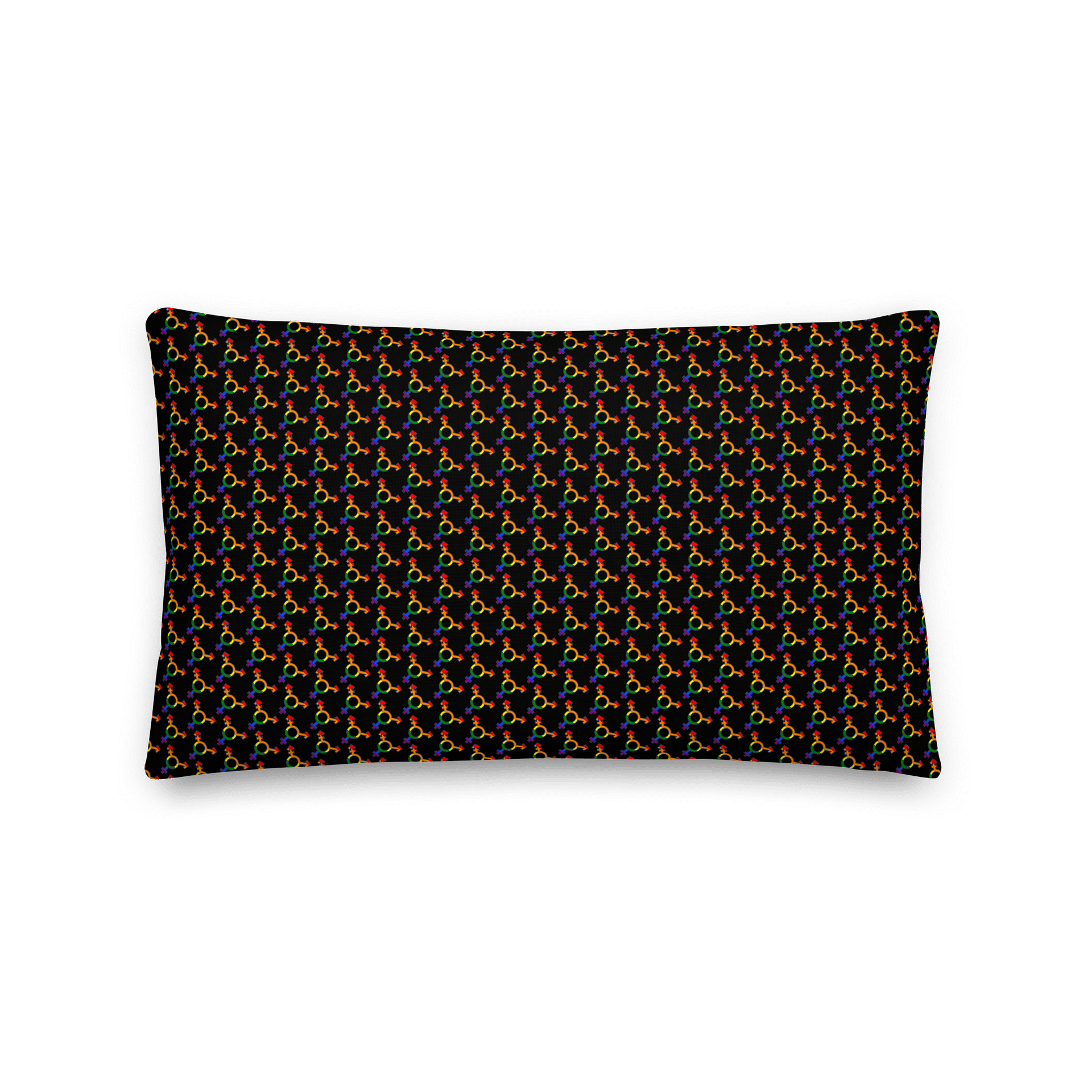 LGBTQIAP2S+ 2025, Sounds Queer I'm In, Pillow product image (5)