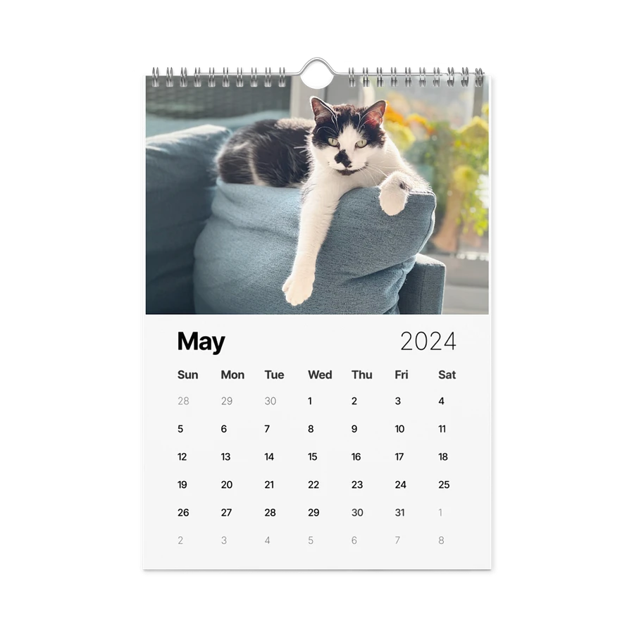 The 2024 ShoKo Cat Calendar product image (14)