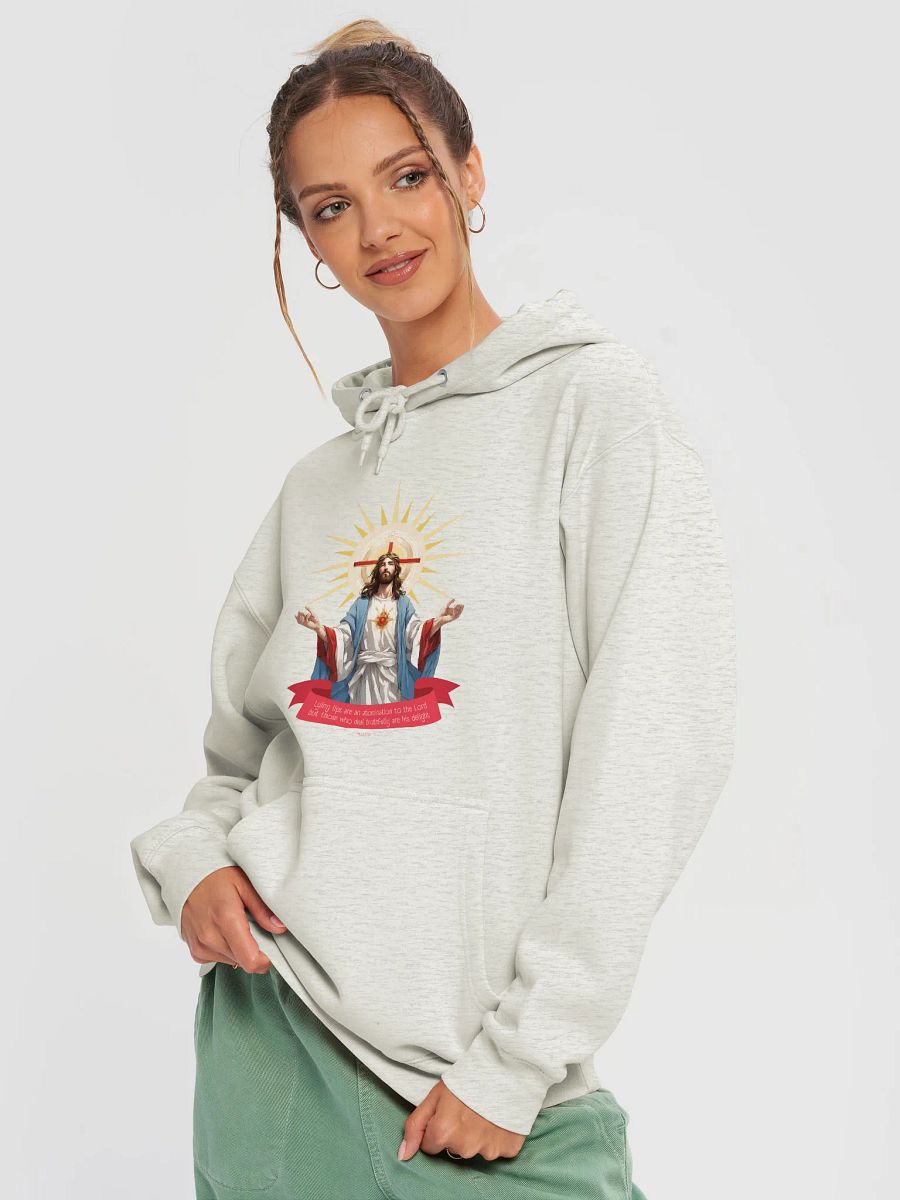 Truth is his delight Hoodie - Oatmeal Heather color product image (3)