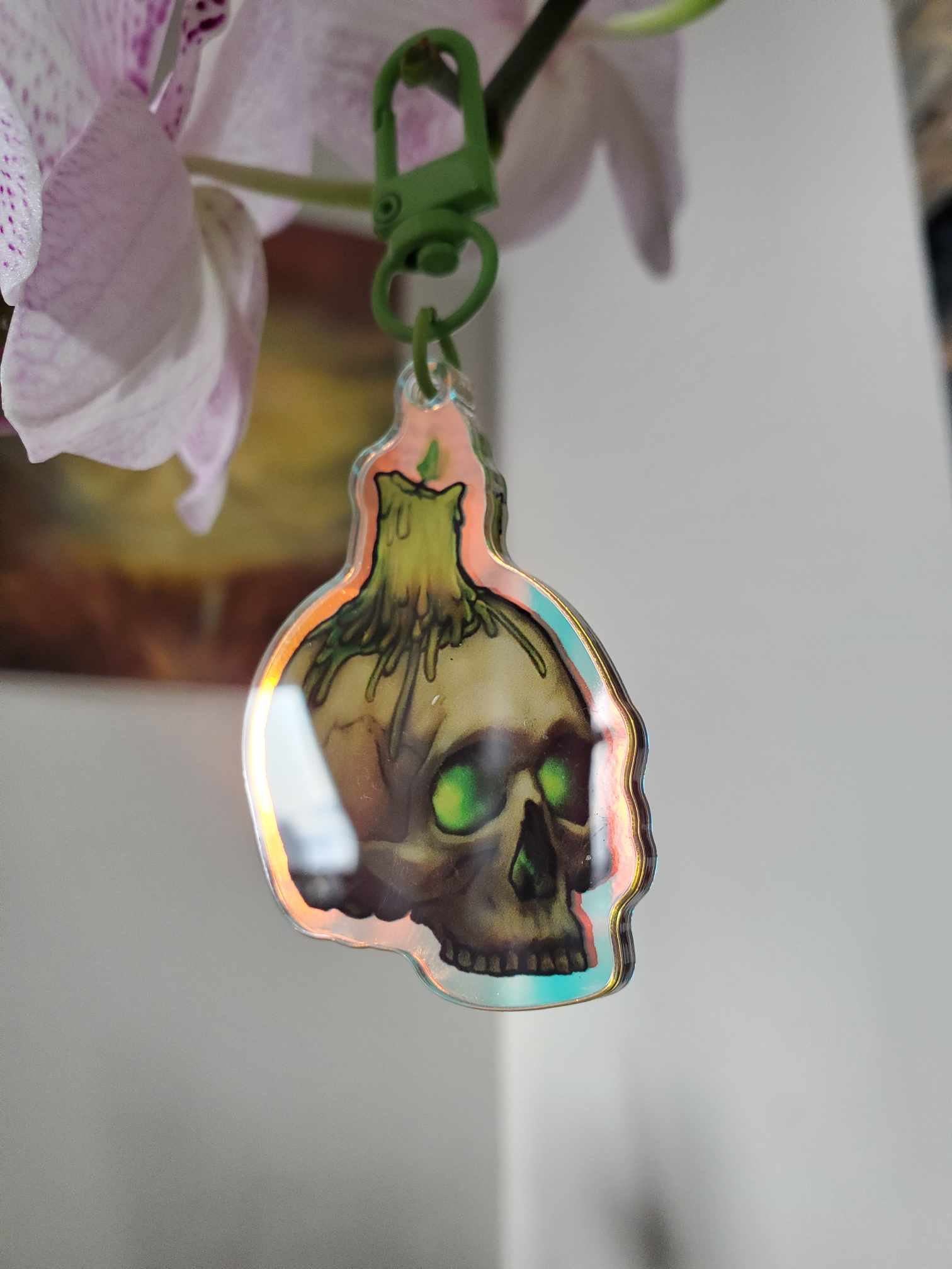 Skull 