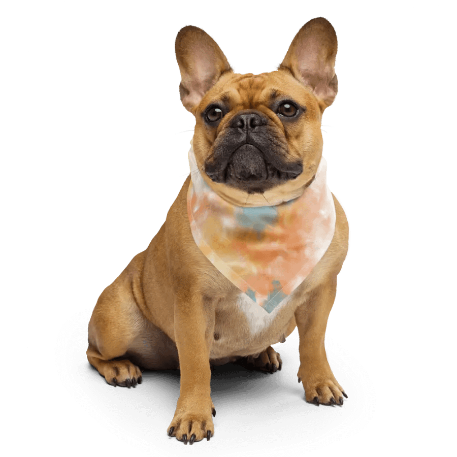 Tie Dye Bandana product image (4)