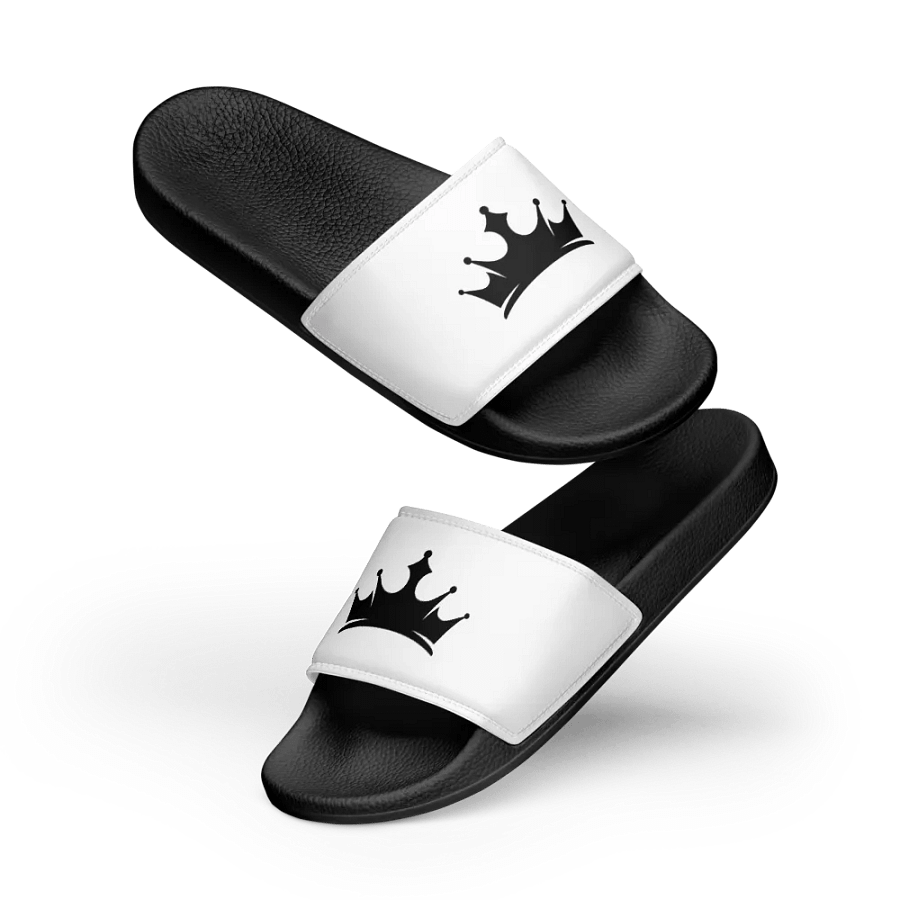 Talking Pounds SLIDDERS product image (11)