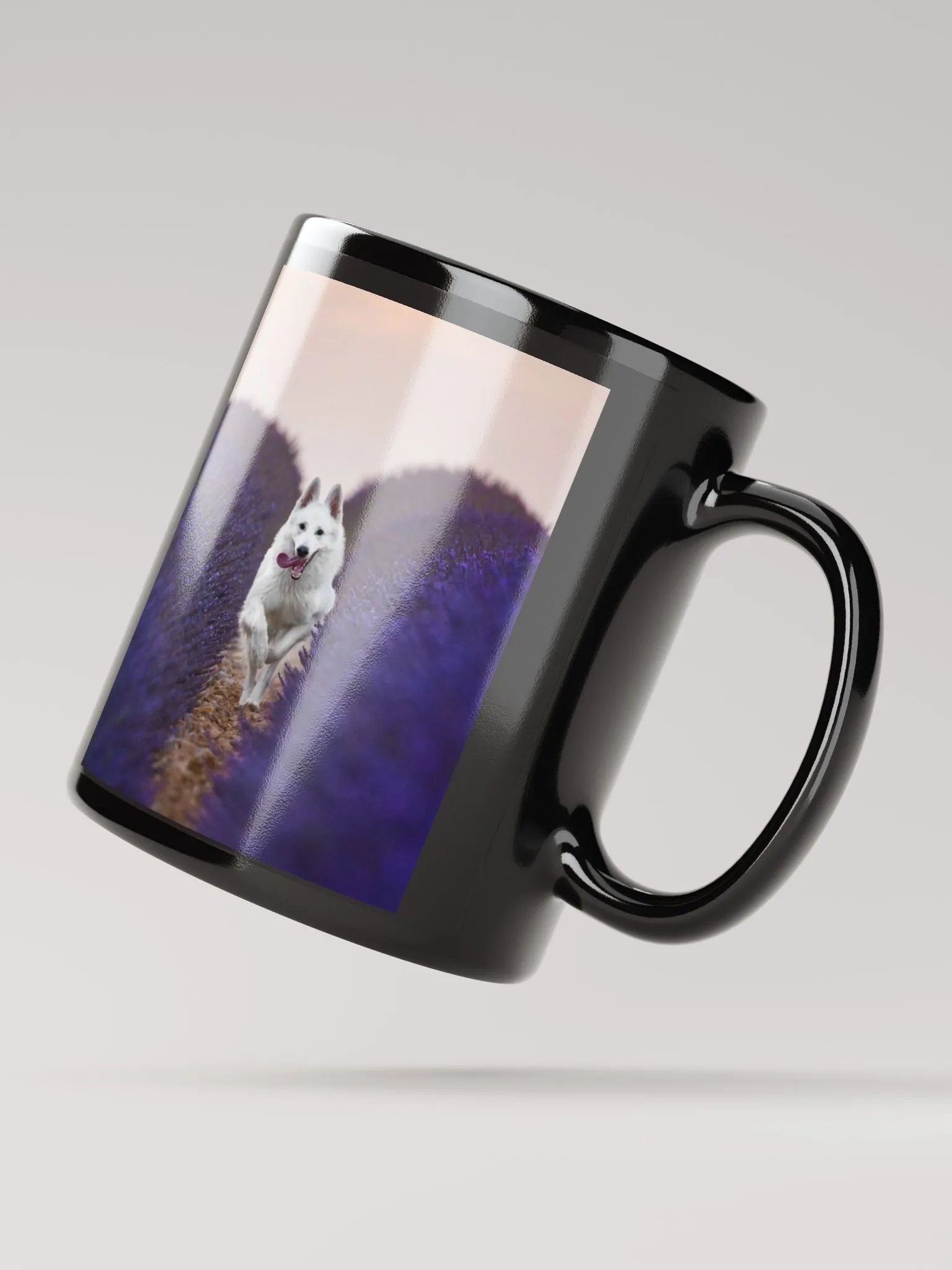 Rasta in the lavender fields product image (3)