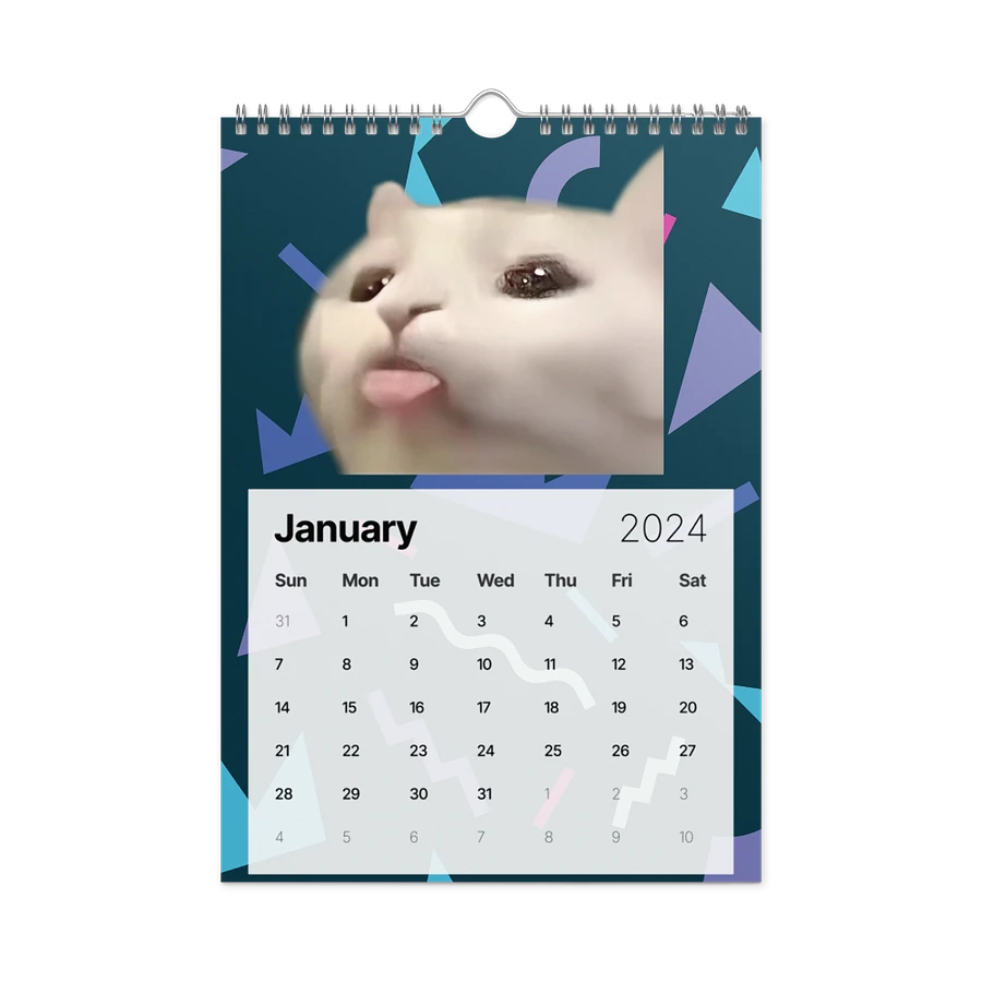 Wall Calendar (2024): Meme Cats product image (8)