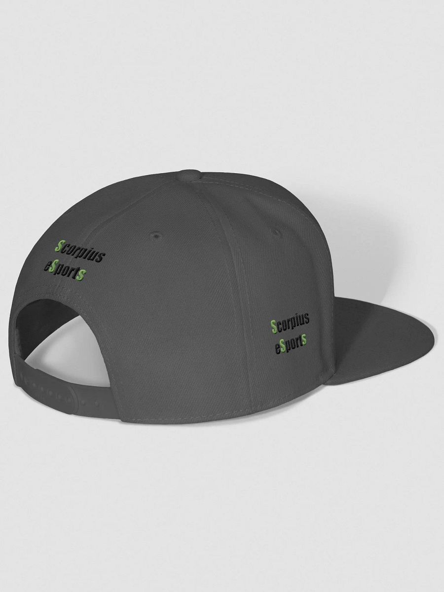 Scorpius eSports Green Snapback Cap product image (50)