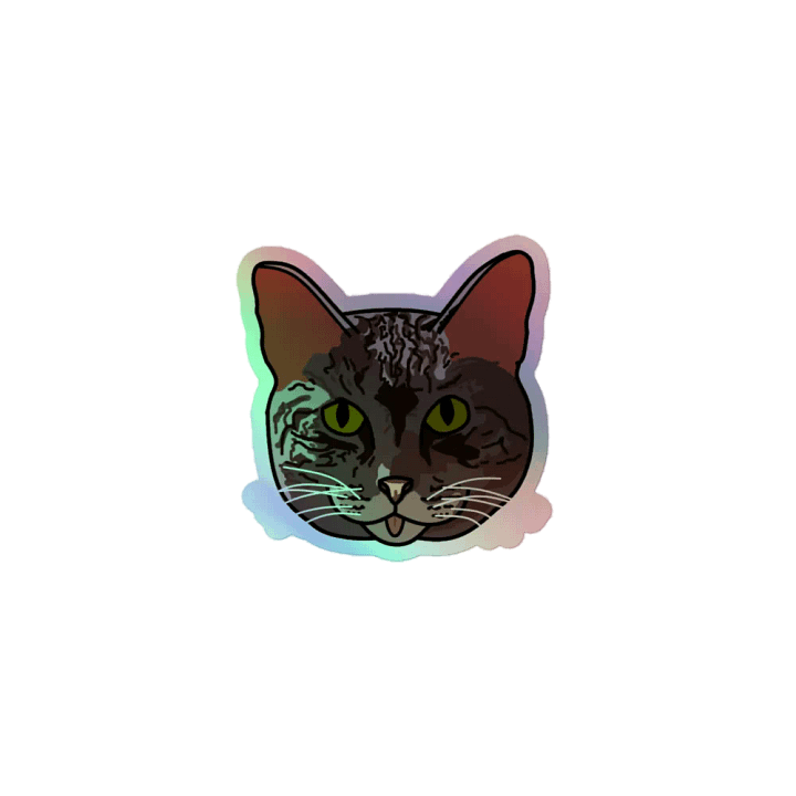 shiny gato product image (1)