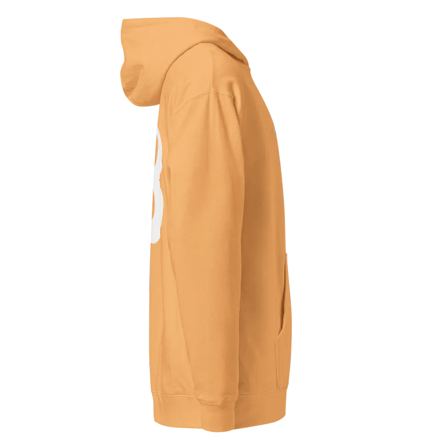 Embroidered ₿itcoin Orange-Peach Hoody product image (11)